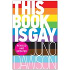 This Book Is Gay image number 1