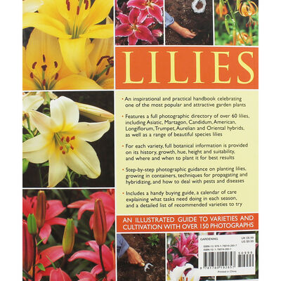 Lilies image number 2