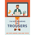 I'm Not Wearing Any Trousers: And Other Working from Home Truths image number 1