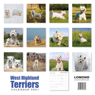 West Highland Terriers Calendar 2021 image number 2
