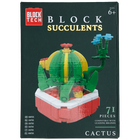 Blocks Succulents: Cactus image number 1