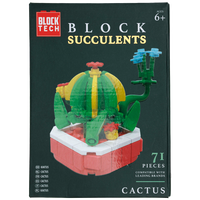 Blocks Succulents: Cactus