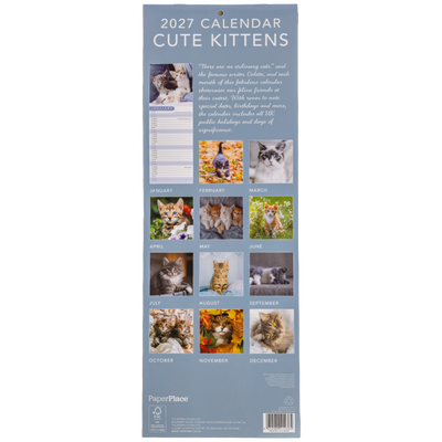 Cute Kittens Slim Calendar and A6 Diary Set 2027 image number 3