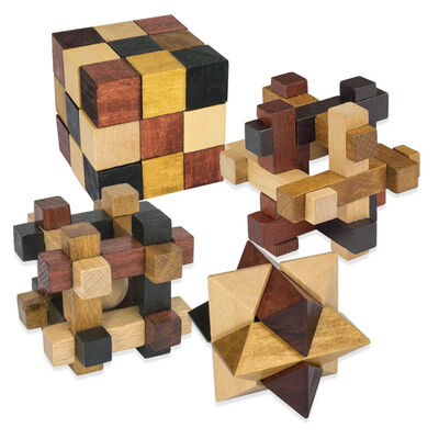 Professor Puzzle: The Wooden Puzzle Chest image number 2