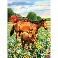 Horses in Field Paint by Numbers Set