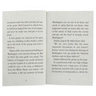 Flat Stanley image number 2