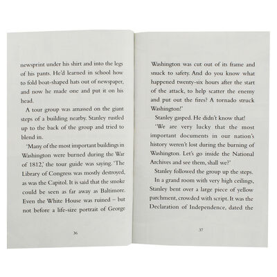 Flat Stanley image number 2