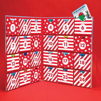 Mr. Men & Little Miss Advent Calendar: 24 Book Collection