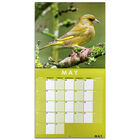 British Birds 2022 Square Calendar and Diary Set image number 2