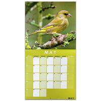 British Birds 2022 Square Calendar and Diary Set