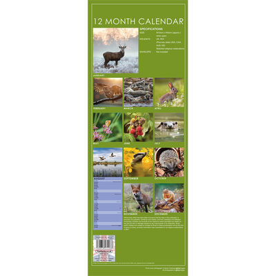 British Wildlife 2021 Slim Calendar and Diary Set image number 2