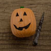 Pumpkin Dig Kit