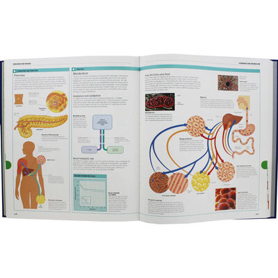 BMA: Complete Home Medical Guide image number 2