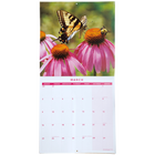 Bees and Butterflies 2026 Calendar & Diary Set image number 3