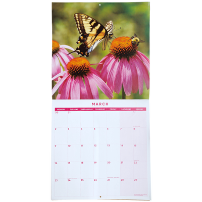 Bees and Butterflies 2026 Calendar & Diary Set image number 3
