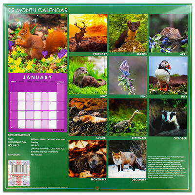 British Wildlife 2022 Square Calendar and Diary Set image number 4