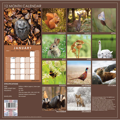 British Wildlife 2021 Calendar and Diary Set image number 2