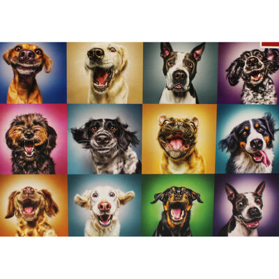 Funny Dog Portraits 1000 Piece Jigsaw Puzzle image number 2