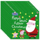 Peppa Pig Meets Father Christmas: Pack of 10 Kids Picture Book Bundle image number 1