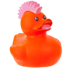 Rubber Duck: Assorted image number 9