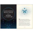 Moon Magic: A Handbook of Lunar Cycles, Lore, and Mystical Energies image number 2