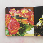 Evening Mantras image number 4