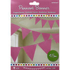 Pink Paper Pennant Banner 4.5m Bunting image number 1