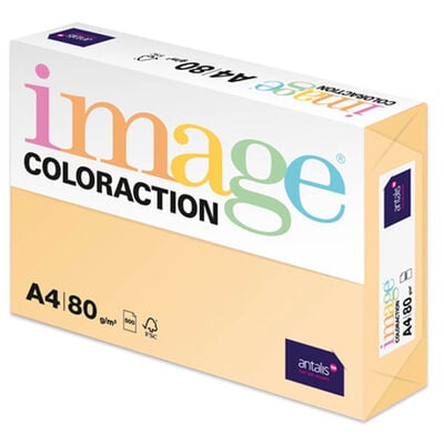A4 Pale Beige Beach Image Coloraction Copy Paper: 500 Sheets image number 1