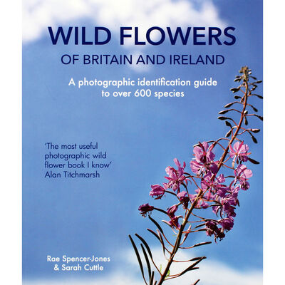 Wild Flowers of Britain and Ireland image number 1