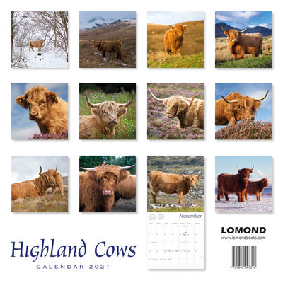 2021 Calendar: Highland Cows image number 2