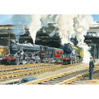 Full Steam Ahead 500 Piece Jigsaw Puzzle image number 2