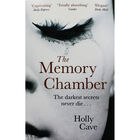 The Memory Chamber image number 1