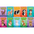 Animal Ark Series: 10 Book Collection image number 2