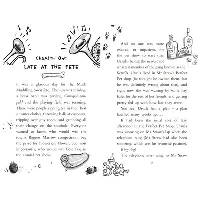 The Scruffs Showtime image number 2