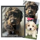 Assorted Traditional Notecards: Pack of 8 image number 5