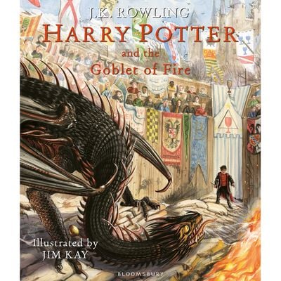 Harry Potter and the Goblet of Fire: Illustrated Edition image number 1