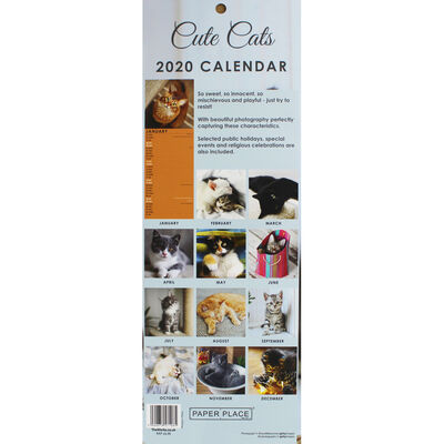 Cute Cats Slim 2020 Calendar And Diary Set image number 2