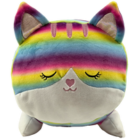 PlayWorks Hugs & Snugs Plush: Rainbow Cat
