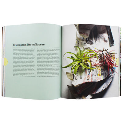 Plant Love image number 2