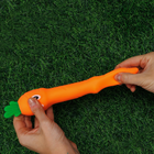 Stretchy Carrot image number 2