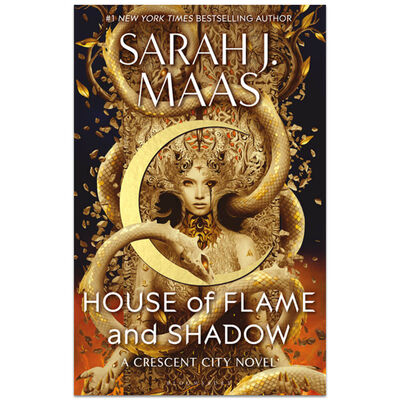 House of Flame and Shadow image number 1