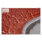 The Times Concise Atlas of the World image number 2