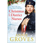 Christmas for the District Nurses image number 1