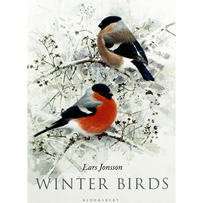 Winter Birds image number 1