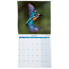 British Birds 2026 Calendar & Diary Set image number 3