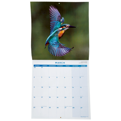 British Birds 2026 Calendar & Diary Set image number 3