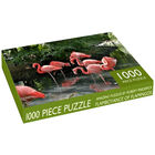 Flock of Flamingos 1000 Piece Jigsaw Puzzle image number 1