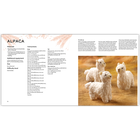 Knit a Mini Farmyard image number 4