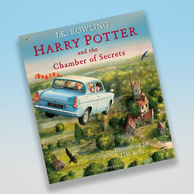 Harry Potter and the Chamber of Secrets: Illustrated Edition image number 6