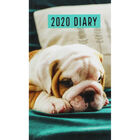 Cute Bulldog Slim 2020 Pocket Diary - Week To View image number 1